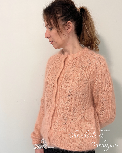 Patron de tricot PARADISE CARDIGAN PDF - 2 constructions disponibles (avec et sans couture)